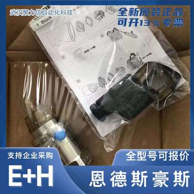 FTL31-AA4U3BAWSJ+HD现货E+H恩德斯豪斯音叉FTL31-19H9/0