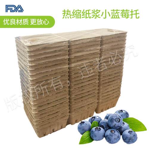 热缩包装蓝莓水果盒 源头工厂纸浆 打包纸浆模塑水果托盘