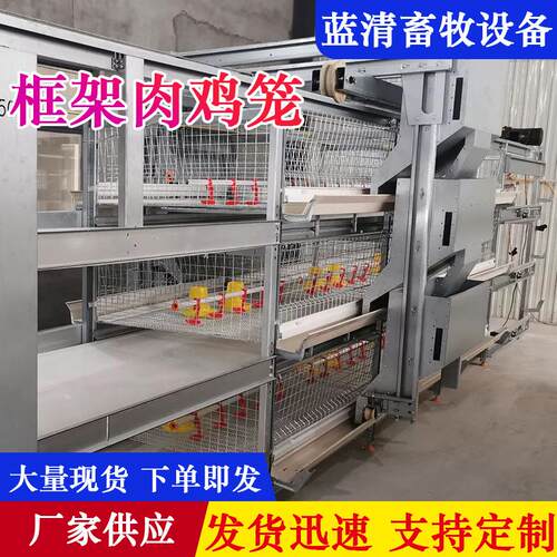 框架式肉鸡笼大型鸡场自动化层叠式清粪捡蛋养殖设备全自动肉鸡笼
