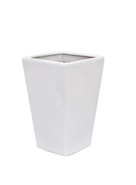 萝发财简约叶散陶盆特大号绿白盆尾树榕陶瓷花四方盆栽葵高筒琴