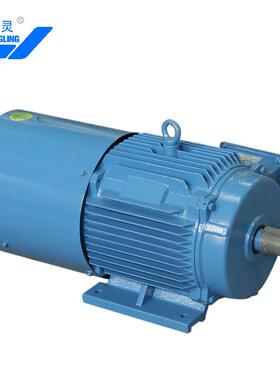 永磁电机TYP系列永磁变频同步电动机