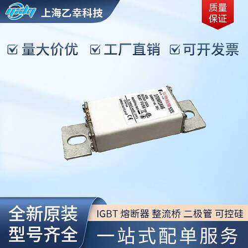 巴斯曼熔断器 170M1845 170M1846 170M1847 170M1848 170M1849