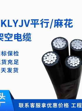 架空集束电缆 BS1-JKLYJ 2*10 16 25 4*16 25 35 50平行集束导线