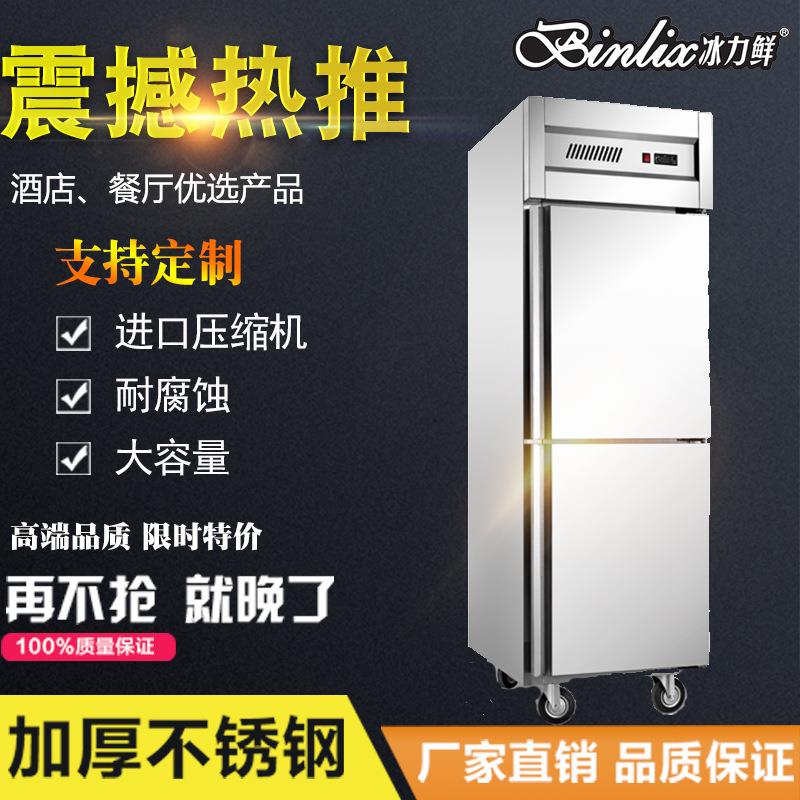 加工定制冰力鲜商用冷柜不锈钢两门厨房蔬菜肉类冷藏冷冻柜保鲜柜