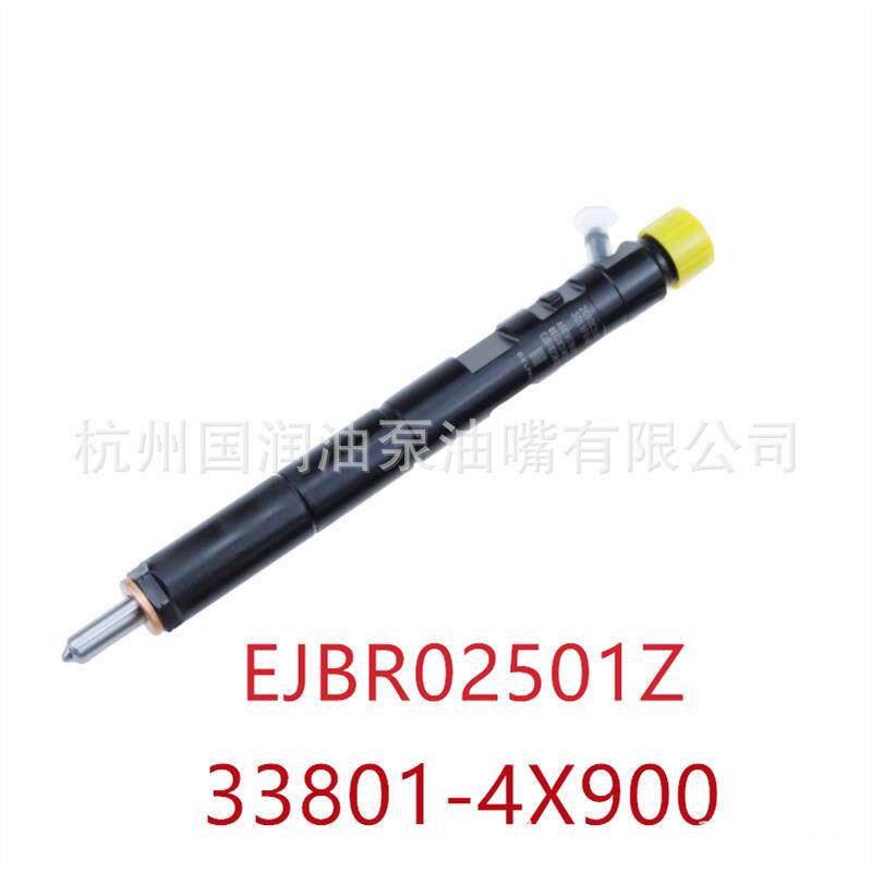 EJBR02501Z 共轨柴油喷油器总成适用德尔福系统 起亚 33800-4X900