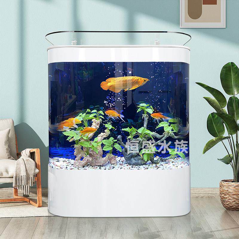 电视柜旁鱼缸客厅2024新款小型一体免换水生态玻璃金鱼造景水族箱