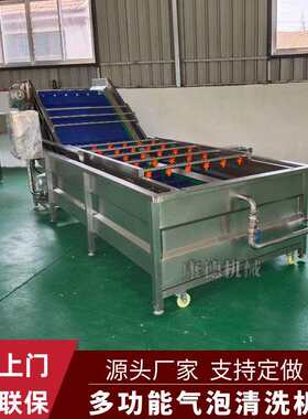 腌渍姜片脱盐气泡清洗机青梅清洗风干线柠檬百香果全自动清洗机