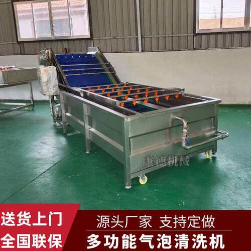腌渍姜片脱盐气泡清洗机青梅清洗风干线柠檬百香果全自动清洗机