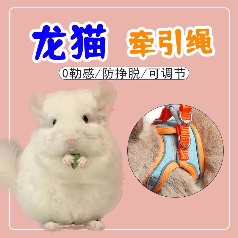 龙猫牵引绳专用背心式牵引外出训练抱婴袋式可调节锁扣项圈加长小