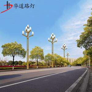 玉兰灯中华灯6米-12米 八叉九火常规大型景观灯 市政工程道路照明