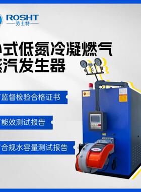 卧式低氮冷凝超声波清洗加温全自动环保节能蒸汽发生器