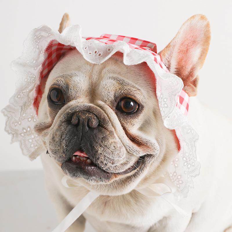 宠物帽子狗狗帽子夏季花边法斗柯基泰迪遮阳帽装饰犬用小帽子