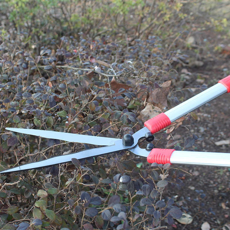 草坪剪修剪绿篱剪花剪刀工具篱笆造型修修枝家用树枝花园园艺园林