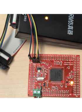 S32K311/S32K342 开发板 100脚封装 （USB 5V供电）, 送ARM调试器