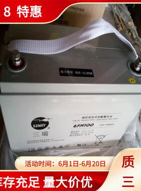 三瑞蓄电池储能铅酸蓄电池CP12400-F/12V40AH