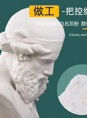 石膏像哲学家柏拉图人物写生素描头像美术教具石膏模型雕塑摆件