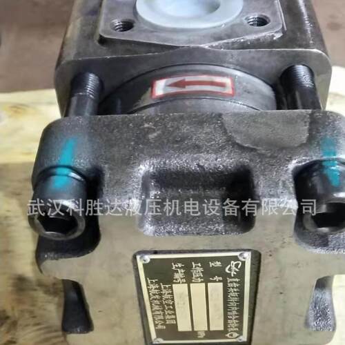 剪板机折弯机卷板机油压机高压内啮合NT4-D40F NT4-D50F NT4-D63F
