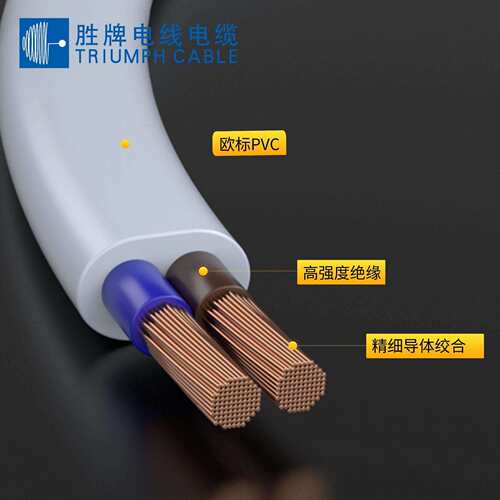 H03VVH2-F3*0.75插头扁平电源线VDE/工具插头电源线