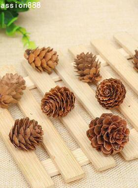 Simulated Songhua 2-3cm dried pine ball flowers圣诞装饰摆件