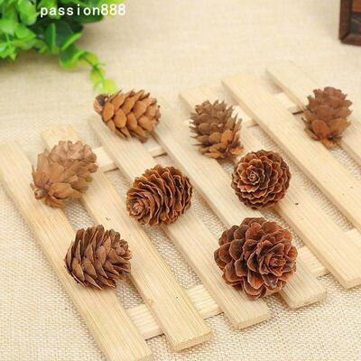 Simulated Songhua 2-3cm dried pine ball flowers圣诞装饰摆件