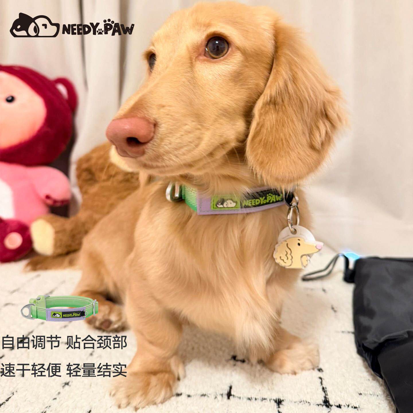 新品韩国Needypaw宠物项圈狗狗脖圈牵引绳搭配项圈独立ID标悬挂点