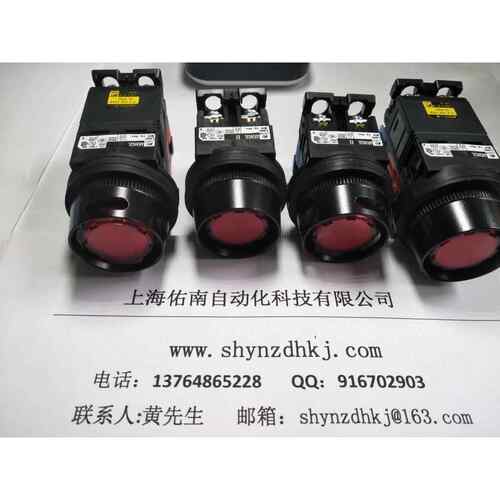 金属环镂空富士按钮AR30G2L-11M3