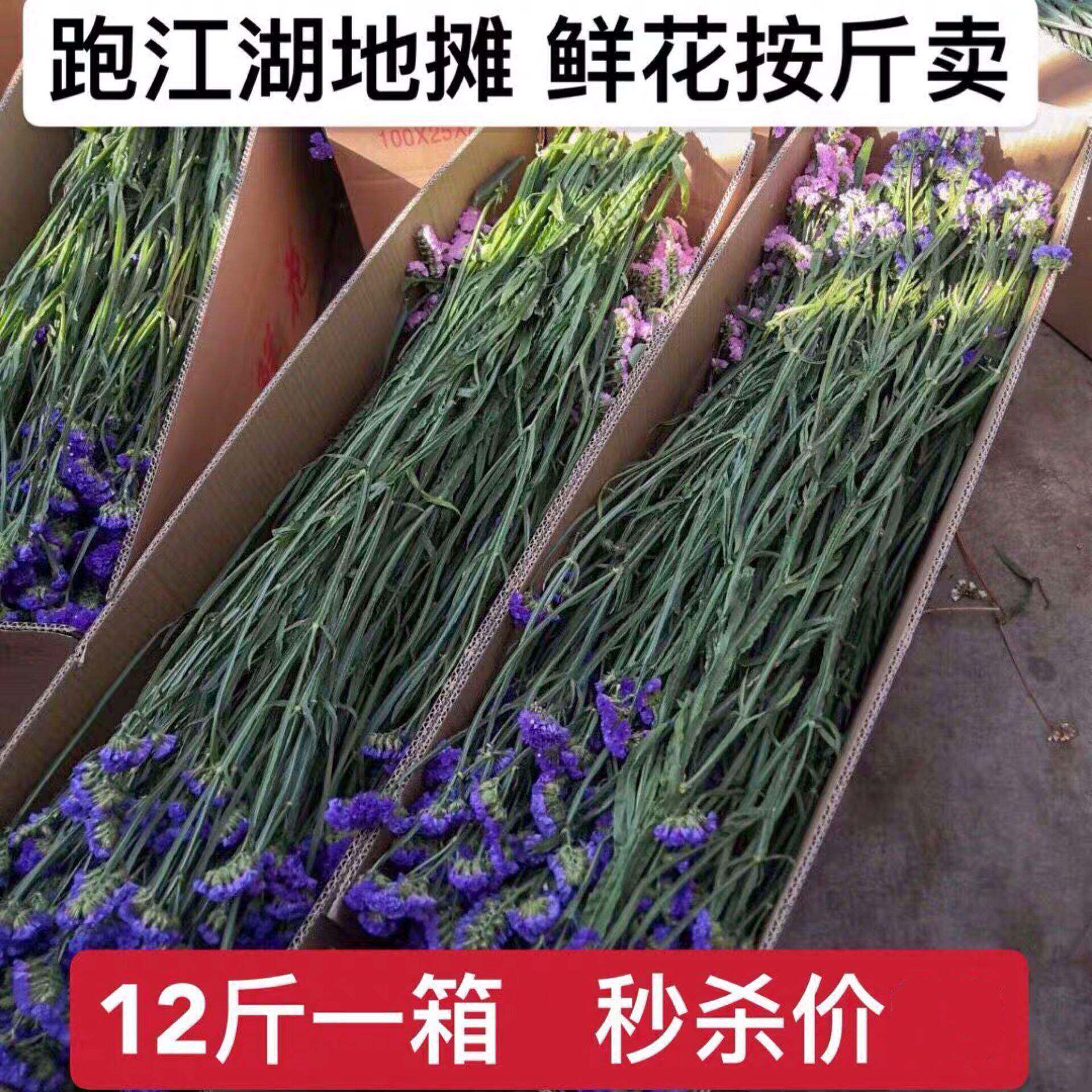 称斤模式鲜花跑江湖地摊勿忘我干花满天星情人草水晶散装一箱12斤