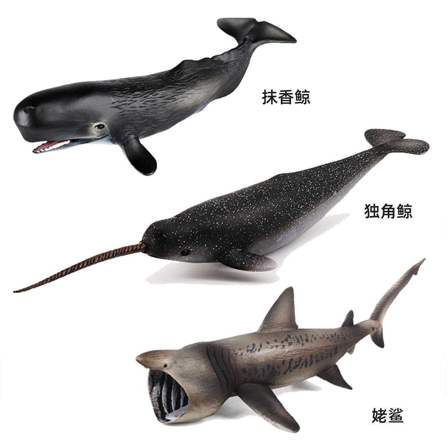 仿真海洋生物模型独角鲸玩具实心鲸鱼摆件塑胶儿童科教认知礼物