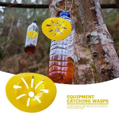10pcs Wasp Insects Funnel Killer Plastic Wasp Traps for