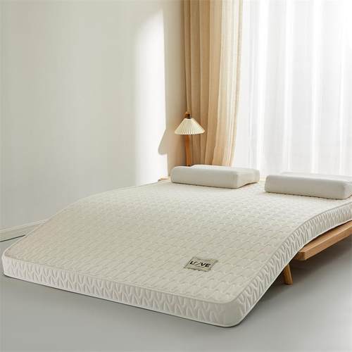石英波浪棉忆乳胶椰棕床垫立体榻榻米单EVO双记人生家用学宿舍可