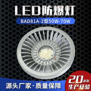 LED防爆灯免维护BAD81A 70W防爆灯照明灯路灯防爆护栏灯 2型50W