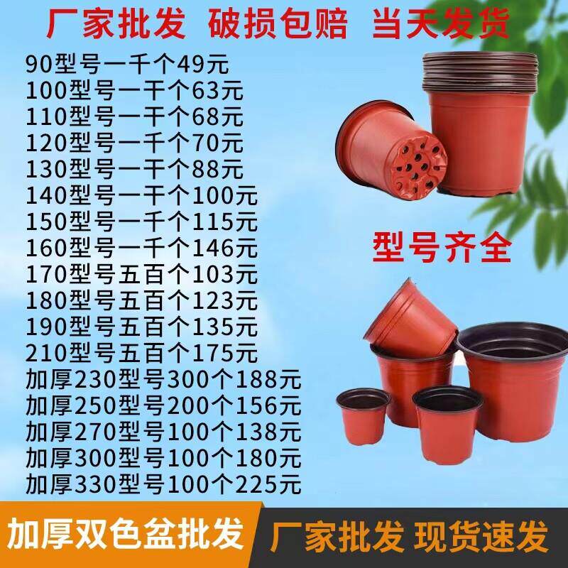 双色盆培育盆加厚红色白色育苗盆多肉盆简约花盆一次性塑料花盆