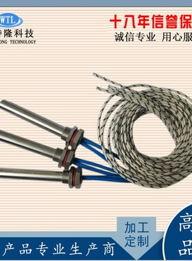 高温加热棒38WTL-DTAS0V22热0V单头大功率锈不钢电棒烧模具加干热