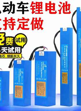 电动车滑板车锂电池36v48v12ah10ah希洛普小海豚48v15ah