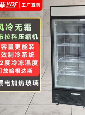 商用冷冻柜立式冷冻展示柜速冻肉类冻品单门立式冰箱低温冰柜