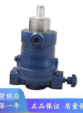 南通津达液压油泵10/16/25/40/63/80/160/250SCY14-1B轴向柱塞泵