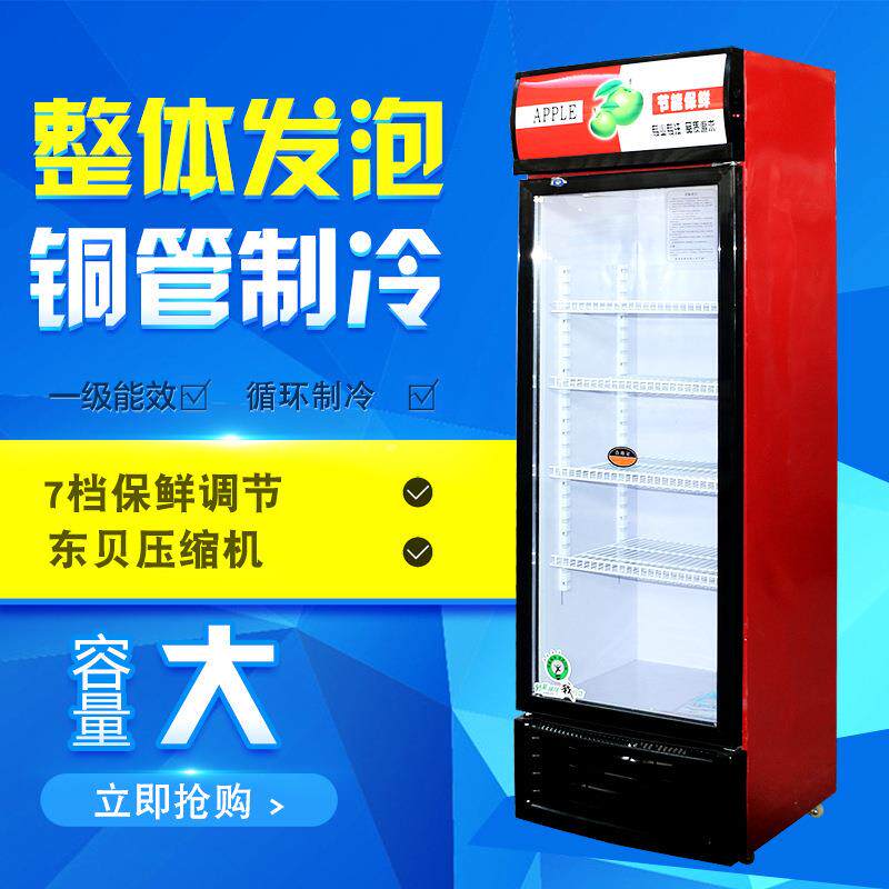 啤酒柜冷藏展示柜立式商用冰箱单门保鲜柜饭店超市冷柜双门饮料