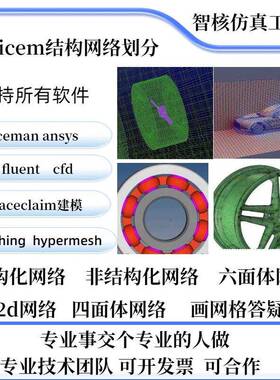 代做 icem pointwise网格划分和网格制作 CFD制作答疑代做等