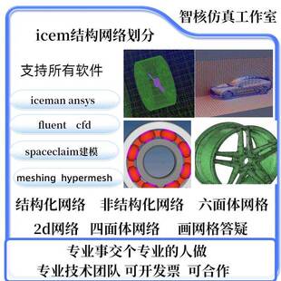 代做 icem pointwise网格划分和网格制作 CFD制作答疑代做等
