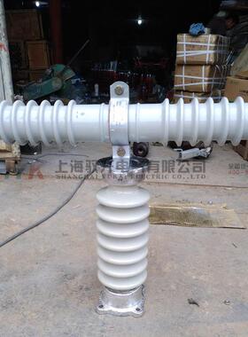 RW10-35KV/0.5A新型户外高压限流熔断器T型电压互感器保护现货