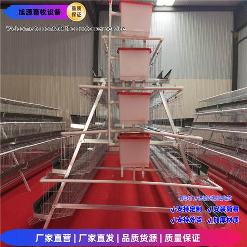 4层4门蛋鸡笼阶梯笼A型笼冷镀/热镀锌工艺养鸡笼