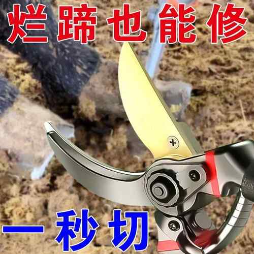 修羊蹄子剪刀修猪蹄钳子兽用剪脚趾指甲剪刀神器牛蹄修理白刃修蹄