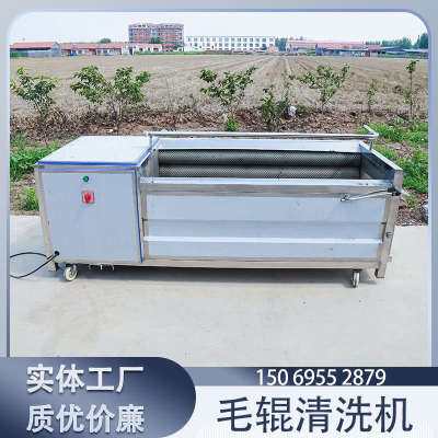 羊蹄毛辊清洗机 土豆红薯清洗去皮一体机 果蔬除杂去泥设备