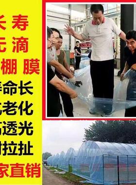 抗老化二层膜无种植内膜高滴膜塑料薄膜围裙po大棚加厚蔬菜透光膜