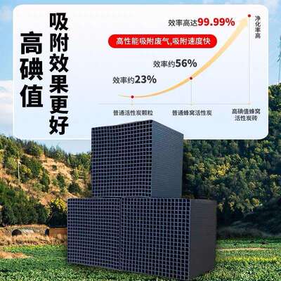 活性881炭漆环雾活干式过滤器废气处理保设备pp不锈钢二级性炭吸