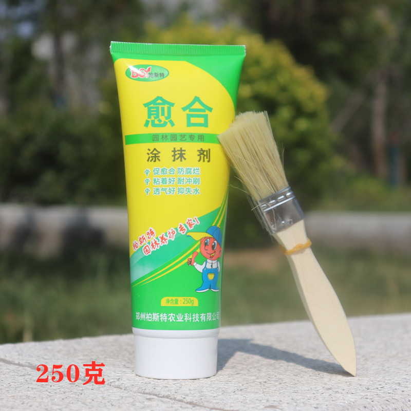 植物树木伤口合剂涂抹生物菌肥