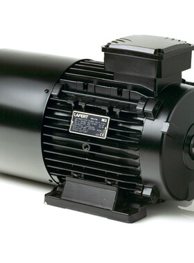 厂家供应意大利LEFRT拉菲特刹车0.75KW马达制动电机AM80B4电动机