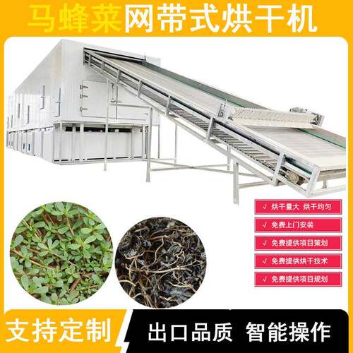 马齿苋烘干机中药材马齿菜马蜂菜烘干房网带式马齿苋野菜干燥机