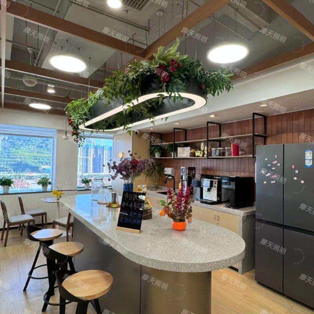 大型灯具椭圆形植物吊灯吧台餐厅样板间公室装饰环形植物灯