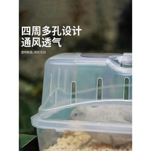 芦丁鸡外带笼小鸡外出笼卢丁鸡饲养箱冬季保暖鸡窝笼便携摆摊鸡笼